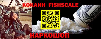 дмт Гай
