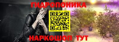 дмт Гай