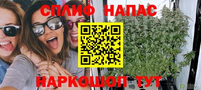 дмт Гай