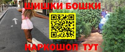 дмт Гай