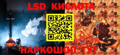 дмт Гай