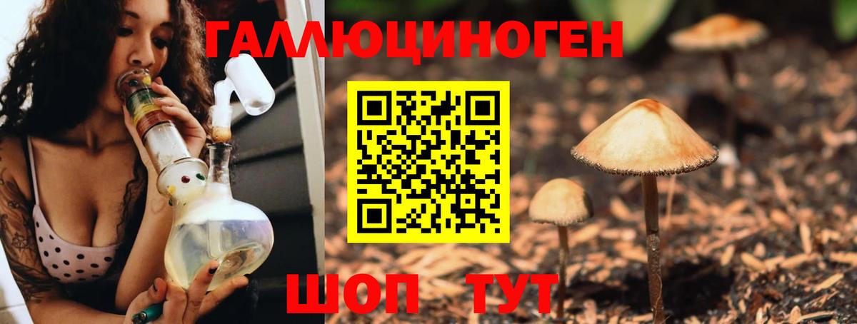 Галлюциногенные грибы Magic Shrooms  Псилоцибиновые грибы Psilocybine cubensis  Вход с VPN  Павлово 